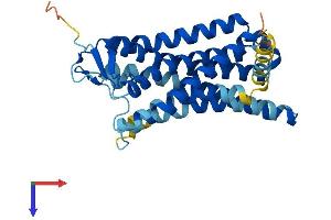 AlphaFold protein structure predicition of Human Recombinant OR52B2 Protein, UniprotID Q96RD2 (OR52B2 Protein (AA 1-323) (His tag))