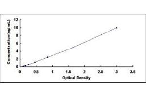 Typical standard curve (PCDHB15 ELISA Kit)