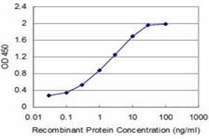 Detection limit for recombinant GST tagged NPY is approximately 0. (NPY antibody  (AA 29-97))