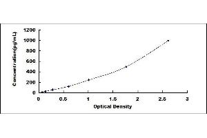 Oncostatin M (OSM) ELISA Kit