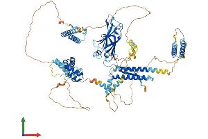 AlphaFold protein structure predicition of Human Recombinant CC2D1B Protein, UniprotID Q5T0F9