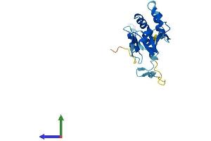 AlphaFold protein structure predicition of Mouse Recombinant Fcf1 Protein, UniprotID Q9CTH6