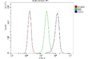 Flow Cytometry analysis of A431 cells using anti-P cadherin/CDH3 antibody (ABIN6719500). (P-Cadherin antibody  (AA 126-336))