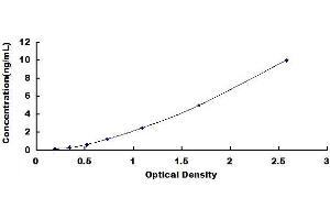 Asprosin ELISA Kit