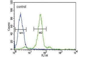Flow Cytometry (FACS) image for anti-Folate Receptor 1 (Adult) (FOLR1) antibody (ABIN2995785)