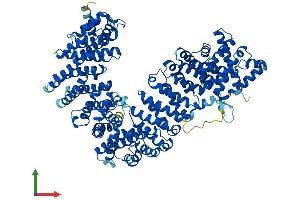 Protein Structure (PS) image for Importin 11 (IPO11) (AA 1-975) protein (His tag) (ABIN7554209)