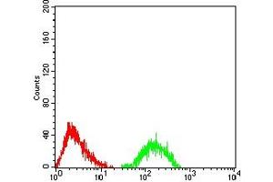 Flow Cytometry (FACS) image for anti-Ataxin 1 (ATXN1) (AA 645-815) antibody (ABIN7193321)