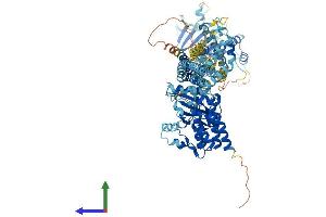 AlphaFold protein structure predicition of Human Recombinant DSTYK Protein, UniprotID Q6XUX3 (DSTYK Protein (AA 1-929) (His tag))