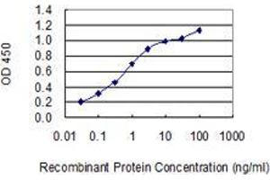 Detection limit for recombinant GST tagged ARHGEF18 is 0. (ARHGEF18 antibody  (AA 1-89))