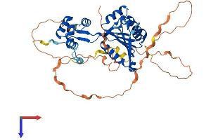 Family with Sequence Similarity 83, Member A (FAM83A) (AA 1-436) protein (His tag)