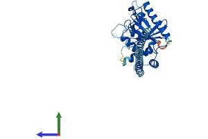 AlphaFold protein structure predicition of Mouse Recombinant Gimap5 Protein, UniprotID Q8BWF2 (GIMAP5 Protein (AA 1-308) (His tag))