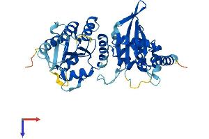 Protein Structure (PS) image for Apolipoprotein B mRNA Editing Enzyme, Catalytic Polypeptide-Like 3G (APOBEC3G) (AA 1-384) protein (His tag) (ABIN7551789)