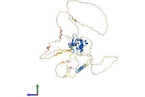 AlphaFold protein structure predicition of Mouse Recombinant Etv4 Protein, UniprotID P28322