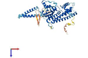 AlphaFold protein structure predicition of Human Recombinant TMEM143 Protein, UniprotID Q96AN5 (TMEM143 Protein (AA 1-459) (His tag))
