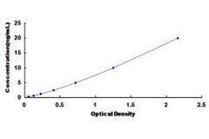 ELISA image for Adenylate Cyclase 10 (Soluble) (ADCY10) ELISA Kit (ABIN424823)