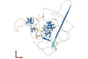 AlphaFold protein structure predicition of Mouse Recombinant Smarcc2 Protein, UniprotID Q6PDG5