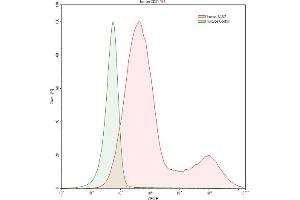 Detection of CD21 in Raji human Burkitt's lymphoma cell line using Anti-Complement Receptor 2 (CD21) Polyclonal Antibody (CD21 antibody  (AA 729-957))