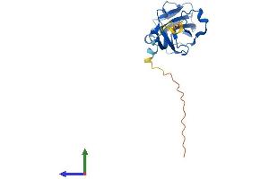 AlphaFold protein structure predicition of Human Recombinant PITHD1 Protein, UniprotID Q9GZP4 (C1orf128 Protein (AA 1-211) (His tag))