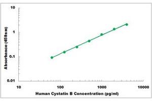 Representative Standard Curve (CSTB ELISA Kit)