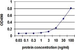 Sandwich ELISA detection sensitivity ranging from 1 ng/ml to 100 ng/ml.