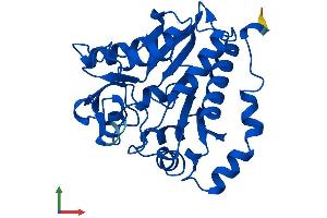 AlphaFold protein structure predicition of Human Recombinant GNPDA2 Protein, UniprotID Q8TDQ7