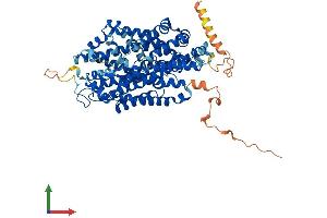 AlphaFold protein structure predicition of Mouse Recombinant Slc6a7 Protein, UniprotID Q6PGE7