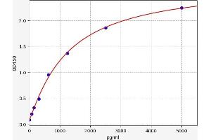 LC3B ELISA Kit