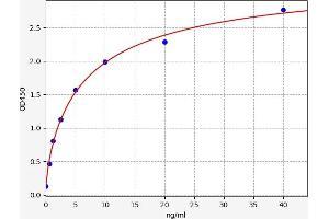 Typical standard curve