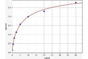 Typical standard curve (SBDP 145 ELISA Kit)