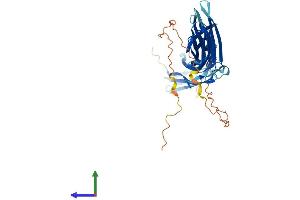 AlphaFold protein structure predicition of Human Recombinant TXNIP Protein, UniprotID Q9H3M7 (TXNIP Protein (AA 1-391) (His tag))