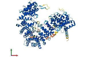 Protein Structure (PS) image for Importin 8 (IPO8) (AA 1-1010) protein (His tag) (ABIN7564191)
