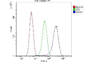 Flow Cytometry analysis of SIHA cells using anti-RRBP1 antibody (ABIN6719628). (RRBP1 antibody)