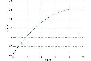 ATP-Binding Cassette, Sub-Family B (MDR/TAP), Member 5 (ABCB5) ELISA Kit