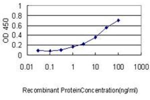 Detection limit for recombinant GST tagged FGG is approximately 0. (FGG antibody  (AA 31-130))