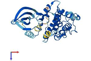 CDK1 Protein (AA 1-297) (His tag)
