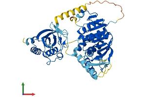 AlphaFold protein structure predicition of Human Recombinant UEVLD Protein, UniprotID Q8IX04