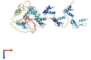 Protein Structure (PS) image for Zinc Finger Protein 132 (ZNF132) (AA 1-706) protein (His tag) (ABIN7545532)
