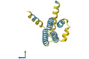 AlphaFold protein structure predicition of Mouse Recombinant Sft2d1 Protein, UniprotID Q5SSN7
