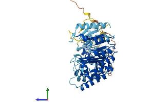 AlphaFold protein structure predicition of Human Recombinant PRAMEF27 Protein, UniprotID A3QJZ7 (PRAMEF27 Protein (AA 1-478) (His tag))