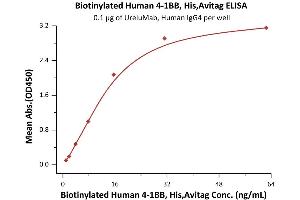 ELISA image for Tumor Necrosis Factor Receptor Superfamily, Member 9 (TNFRSF9) (AA 24-186) (Active) protein (His tag,AVI tag,Biotin) (ABIN6972936)