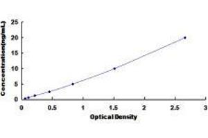 IQ Motif Containing GTPase Activating Protein 1 (IQGAP1) ELISA Kit