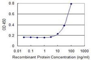 Detection limit for recombinant GST tagged SIN3B is 3 ng/ml as a capture antibody. (SIN3B antibody  (AA 1063-1160))