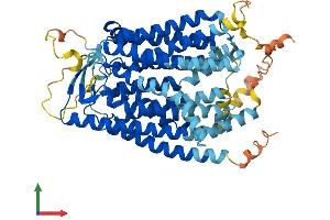 AlphaFold protein structure predicition of Human Recombinant SLC15A3 Protein, UniprotID Q8IY34 (SLC15A3 Protein (AA 1-581) (His tag))