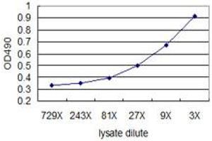 Standard curve using 293T overexpression lysate (non-denatured) as an analyte. (KIT (Human) Matched Antibody Pair)