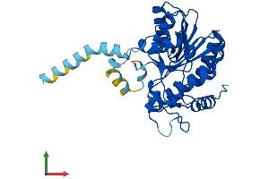 Protein Structure (PS) image for Retinol Dehydrogenase 12 (All-Trans/9-Cis/11-Cis) (RDH12) (AA 1-316) protein (His tag) (ABIN7559019)