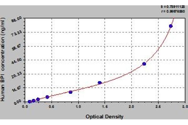 BPI ELISA Kit
