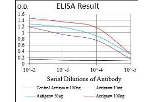 Black line: Control Antigen (100 ng), Purple line: Antigen(10 ng), Blue line: Antigen (50 ng), Red line: Antigen (100 ng), (RAB27A antibody  (full length))