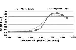 Serial dilutions of human CSF2 (starting at 25 ng/mL) were added to TF1 cells.