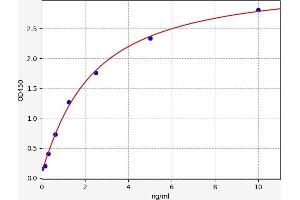 Typical standard curve (CCR6 ELISA Kit)
