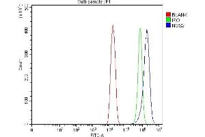 Flow Cytometry analysis of HEPA1-6 cells using anti-iNOS/Nos2 antibody (ABIN7601635).